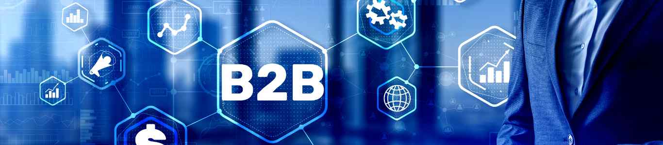 What is b2b data provider